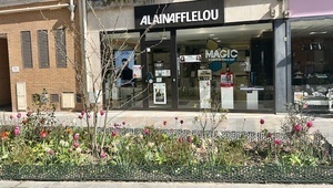 Alain Afflelou Clamart, Professionnel indépendant