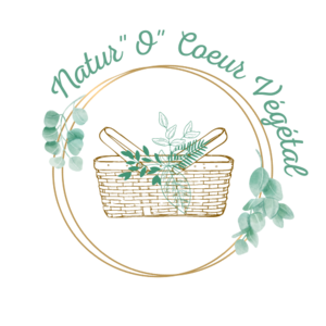 Ingrid Bonin Quincy-Voisins, Professionnel indépendant