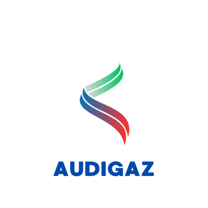 AUDIGAZ Paris 9, Professionnel indépendant