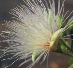 Martine Briault - Kinésiologue Paris 14, Professionnel indépendant