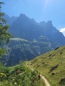 Hélène WADEL Maurepas, Professionnel indépendant