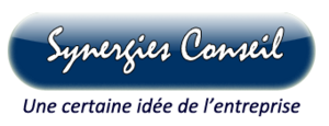 Synergies Conseil Versailles, Professionnel indépendant